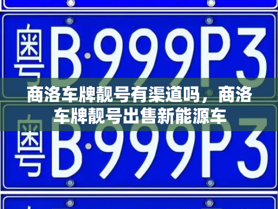 商洛车牌靓号有渠道吗,商洛车牌靓号出售新能源车-第3张图片-七号汽车选号 商洛车牌靓号有渠道吗,商洛车牌靓号出售新能源车-第3张图片-七号汽车选号