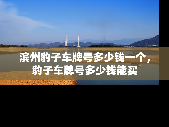 滨州豹子车牌号多少钱一个，豹子车牌号多少钱能买