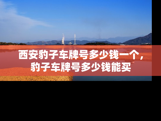 西安豹子车牌号多少钱一个，豹子车牌号多少钱能买