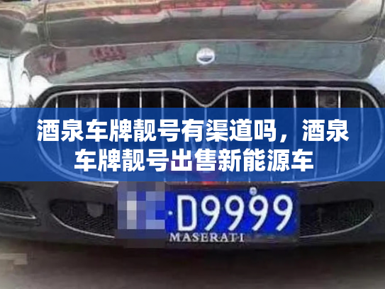 酒泉车牌靓号有渠道吗，酒泉车牌靓号出售新能源车-第2张图片-七号汽车选号