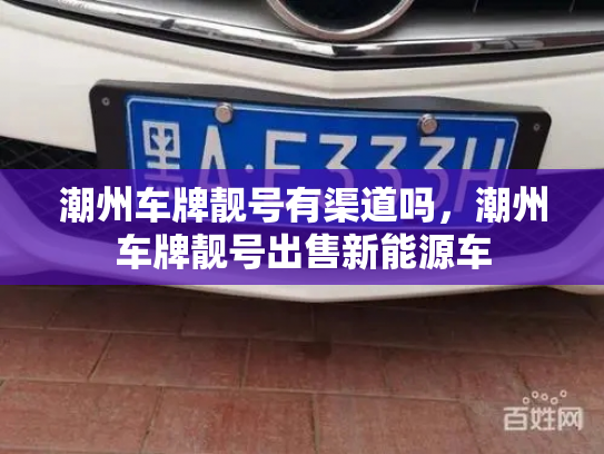 潮州车牌靓号有渠道吗,潮州车牌靓号出售新能源车-第2张图片-七号汽车选号 潮州车牌靓号有渠道吗,潮州车牌靓号出售新能源车-第2张图片-七号汽车选号