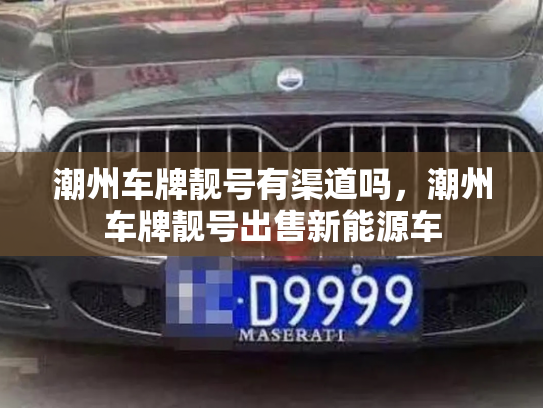 潮州车牌靓号有渠道吗,潮州车牌靓号出售新能源车-第3张图片-七号汽车选号 潮州车牌靓号有渠道吗,潮州车牌靓号出售新能源车-第3张图片-七号汽车选号