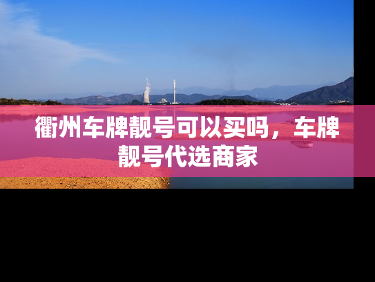 衢州车牌靓号可以买吗，车牌靓号代选商家