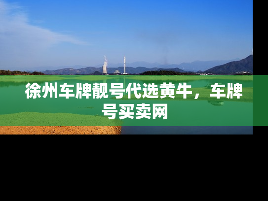 徐州车牌靓号代选黄牛，车牌号买卖网