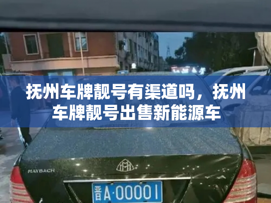 抚州车牌靓号有渠道吗,抚州车牌靓号出售新能源车-第2张图片-七号汽车选号 抚州车牌靓号有渠道吗,抚州车牌靓号出售新能源车-第2张图片-七号汽车选号