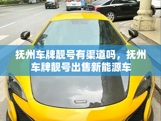 抚州车牌靓号有渠道吗,抚州车牌靓号出售新能源车-第3张图片-七号汽车选号 抚州车牌靓号有渠道吗,抚州车牌靓号出售新能源车-第3张图片-七号汽车选号