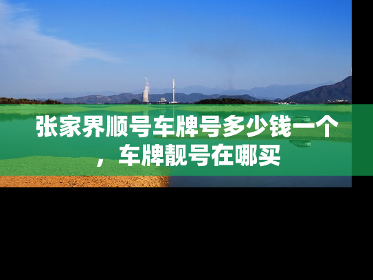 张家界顺号车牌号多少钱一个，车牌靓号在哪买