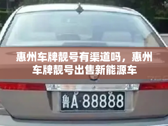 惠州车牌靓号有渠道吗,惠州车牌靓号出售新能源车-第2张图片-七号汽车选号 惠州车牌靓号有渠道吗,惠州车牌靓号出售新能源车-第2张图片-七号汽车选号