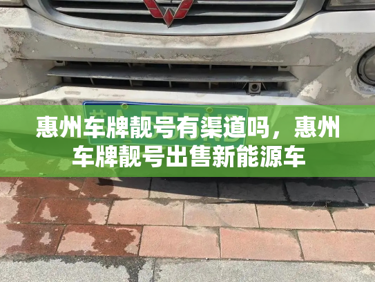 惠州车牌靓号有渠道吗,惠州车牌靓号出售新能源车-第3张图片-七号汽车选号 惠州车牌靓号有渠道吗,惠州车牌靓号出售新能源车-第3张图片-七号汽车选号