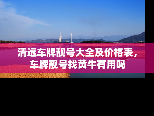 清远车牌靓号大全及价格表，车牌靓号找黄牛有用吗