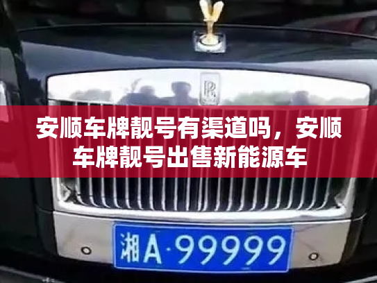 安顺车牌靓号有渠道吗，安顺车牌靓号出售新能源车-第2张图片-七号汽车选号