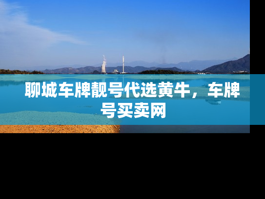 聊城车牌靓号代选黄牛，车牌号买卖网