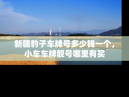 新疆豹子车牌号多少钱一个，小车车牌靓号哪里有买