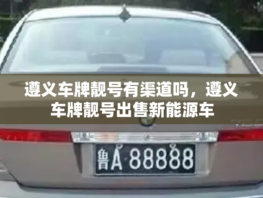 遵义车牌靓号有渠道吗,遵义车牌靓号出售新能源车-第2张图片-七号汽车选号 遵义车牌靓号有渠道吗,遵义车牌靓号出售新能源车-第2张图片-七号汽车选号