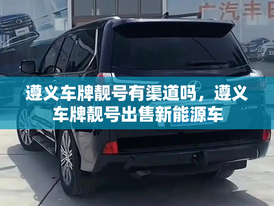 遵义车牌靓号有渠道吗,遵义车牌靓号出售新能源车-第3张图片-七号汽车选号 遵义车牌靓号有渠道吗,遵义车牌靓号出售新能源车-第3张图片-七号汽车选号