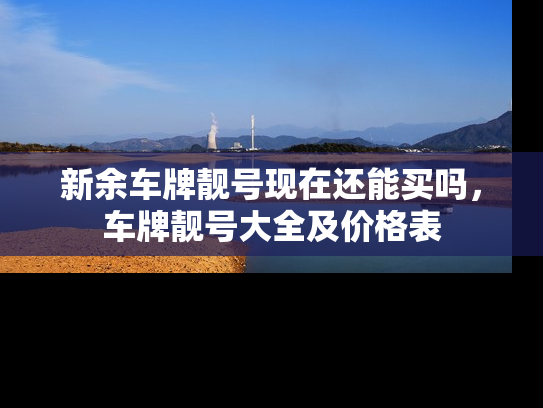 新余车牌靓号现在还能买吗，车牌靓号大全及价格表