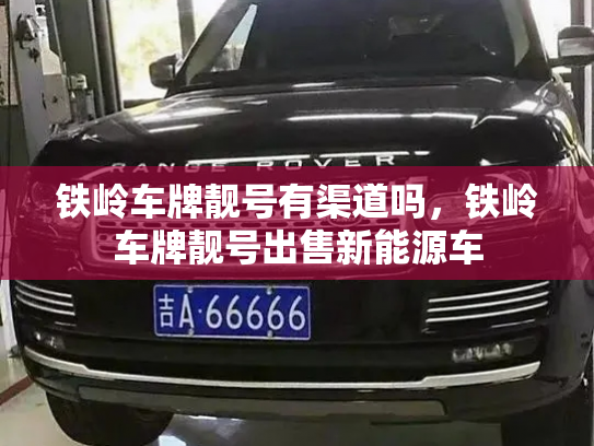 铁岭车牌靓号有渠道吗,铁岭车牌靓号出售新能源车-第2张图片-七号汽车选号 铁岭车牌靓号有渠道吗,铁岭车牌靓号出售新能源车-第2张图片-七号汽车选号