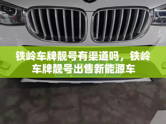 铁岭车牌靓号有渠道吗,铁岭车牌靓号出售新能源车-第3张图片-七号汽车选号 铁岭车牌靓号有渠道吗,铁岭车牌靓号出售新能源车-第3张图片-七号汽车选号