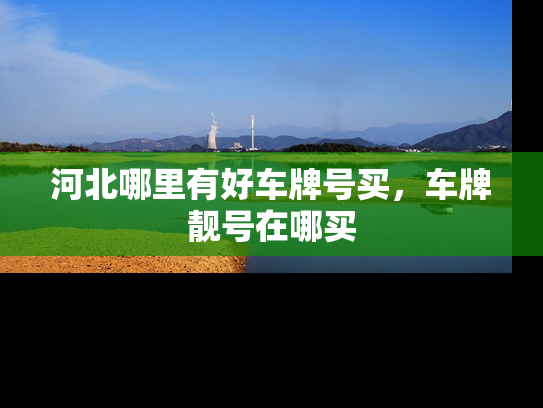 河北哪里有好车牌号买，车牌靓号在哪买