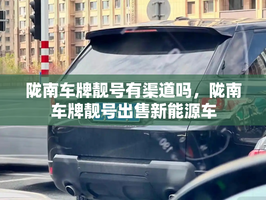 陇南车牌靓号有渠道吗，陇南车牌靓号出售新能源车-第2张图片-七号汽车选号