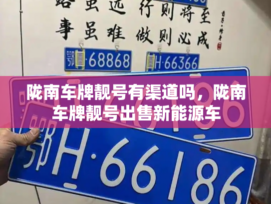 陇南车牌靓号有渠道吗，陇南车牌靓号出售新能源车-第3张图片-七号汽车选号