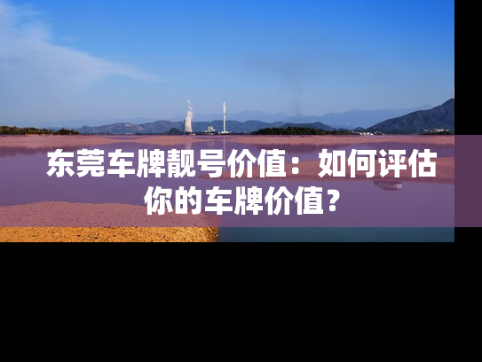 东莞车牌靓号价值：如何评估你的车牌价值？