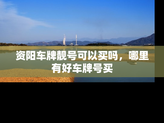 资阳车牌靓号可以买吗，哪里有好车牌号买