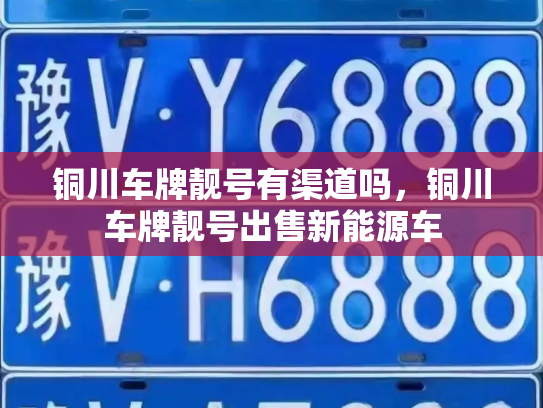 铜川车牌靓号有渠道吗,铜川车牌靓号出售新能源车-第3张图片-七号汽车选号 铜川车牌靓号有渠道吗,铜川车牌靓号出售新能源车-第3张图片-七号汽车选号