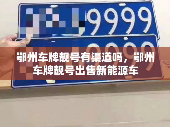 鄂州车牌靓号有渠道吗，鄂州车牌靓号出售新能源车-第3张图片-七号汽车选号