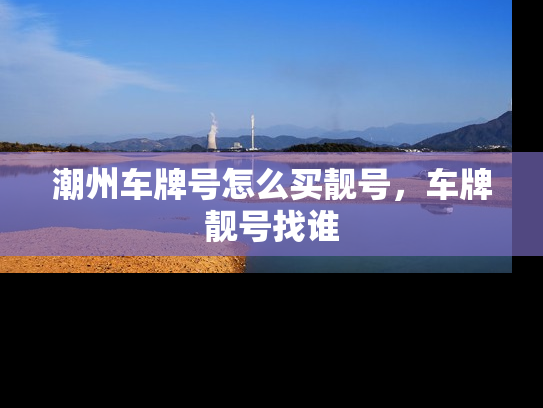 潮州车牌号怎么买靓号，车牌靓号找谁