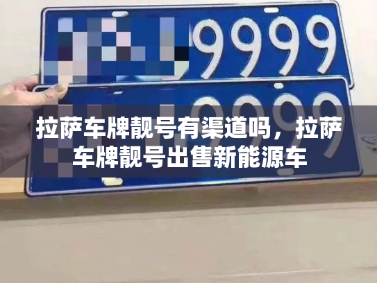 拉萨车牌靓号有渠道吗,拉萨车牌靓号出售新能源车-第3张图片-七号汽车选号 拉萨车牌靓号有渠道吗,拉萨车牌靓号出售新能源车-第3张图片-七号汽车选号