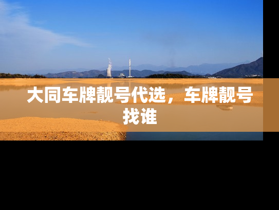 大同车牌靓号代选，车牌靓号找谁