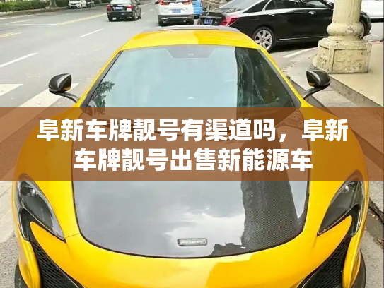 阜新车牌靓号有渠道吗,阜新车牌靓号出售新能源车-第3张图片-七号汽车选号 阜新车牌靓号有渠道吗,阜新车牌靓号出售新能源车-第3张图片-七号汽车选号