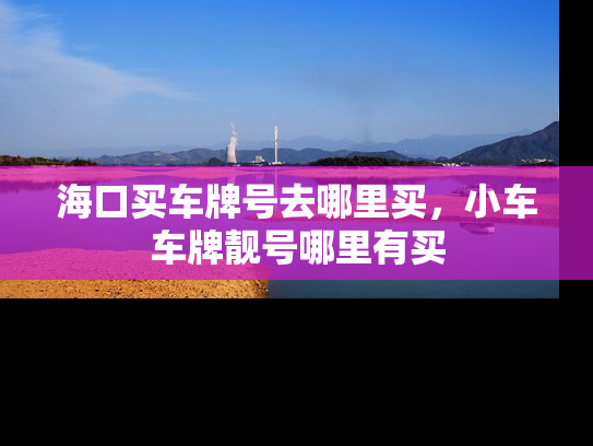 海口买车牌号去哪里买，小车车牌靓号哪里有买