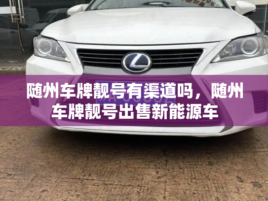 随州车牌靓号有渠道吗，随州车牌靓号出售新能源车-第2张图片-七号汽车选号