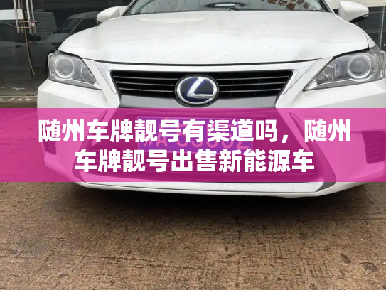 随州车牌靓号有渠道吗，随州车牌靓号出售新能源车-第3张图片-七号汽车选号