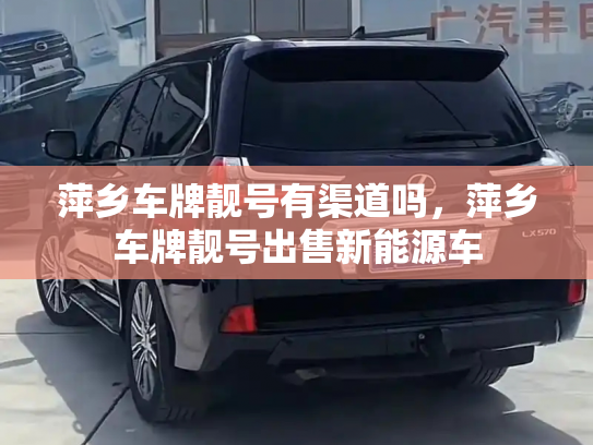 萍乡车牌靓号有渠道吗,萍乡车牌靓号出售新能源车-第2张图片-七号汽车选号 萍乡车牌靓号有渠道吗,萍乡车牌靓号出售新能源车-第2张图片-七号汽车选号