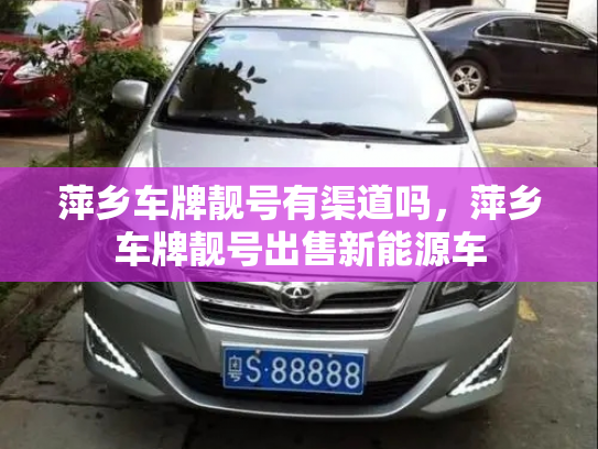 萍乡车牌靓号有渠道吗,萍乡车牌靓号出售新能源车-第3张图片-七号汽车选号 萍乡车牌靓号有渠道吗,萍乡车牌靓号出售新能源车-第3张图片-七号汽车选号