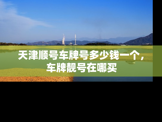 天津顺号车牌号多少钱一个，车牌靓号在哪买