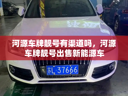河源车牌靓号有渠道吗，河源车牌靓号出售新能源车-第2张图片-七号汽车选号