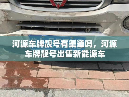 河源车牌靓号有渠道吗，河源车牌靓号出售新能源车-第3张图片-七号汽车选号