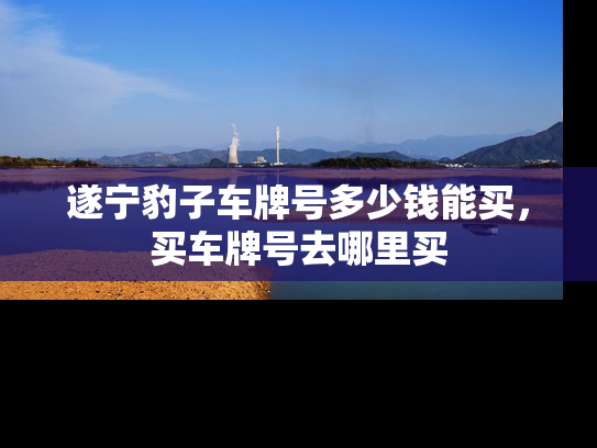 遂宁豹子车牌号多少钱能买，买车牌号去哪里买