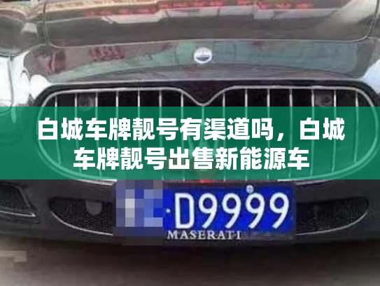 白城车牌靓号有渠道吗，白城车牌靓号出售新能源车-第2张图片-七号汽车选号