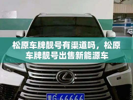 松原车牌靓号有渠道吗，松原车牌靓号出售新能源车-第2张图片-七号汽车选号