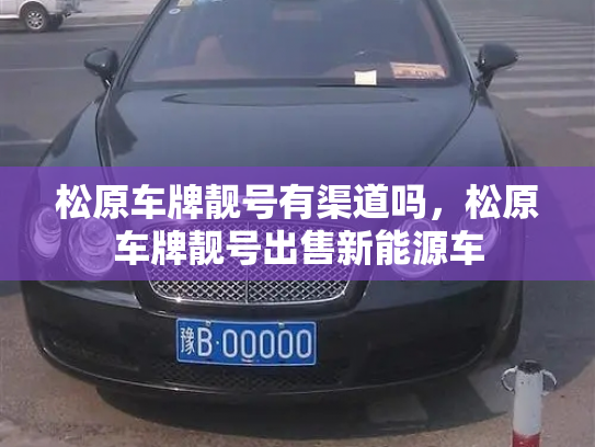 松原车牌靓号有渠道吗，松原车牌靓号出售新能源车-第3张图片-七号汽车选号