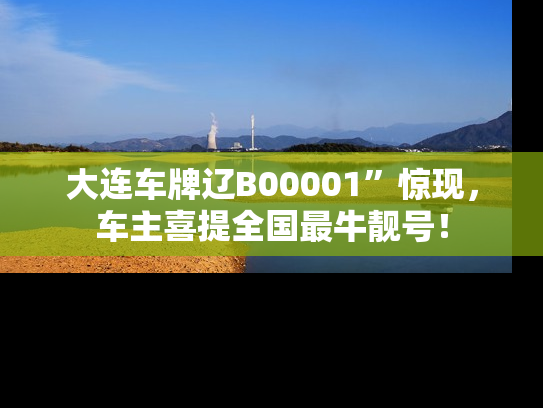 大连车牌辽B00001”惊现，车主喜提全国最牛靓号！
