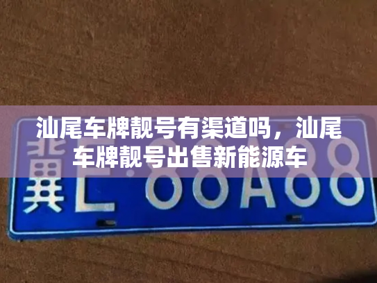 汕尾车牌靓号有渠道吗，汕尾车牌靓号出售新能源车-第2张图片-七号汽车选号