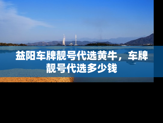 益阳车牌靓号代选黄牛，车牌靓号代选多少钱