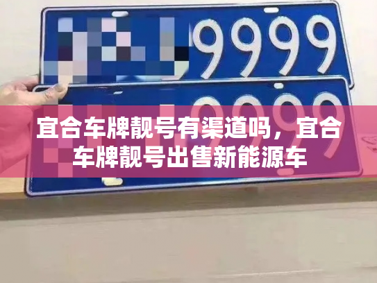 宜合车牌靓号有渠道吗,宜合车牌靓号出售新能源车-第2张图片-七号汽车选号 宜合车牌靓号有渠道吗,宜合车牌靓号出售新能源车-第2张图片-七号汽车选号