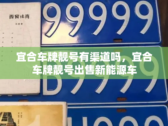 宜合车牌靓号有渠道吗,宜合车牌靓号出售新能源车-第3张图片-七号汽车选号 宜合车牌靓号有渠道吗,宜合车牌靓号出售新能源车-第3张图片-七号汽车选号